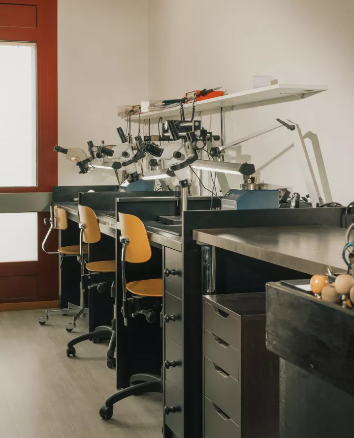 Etablis de sertissage